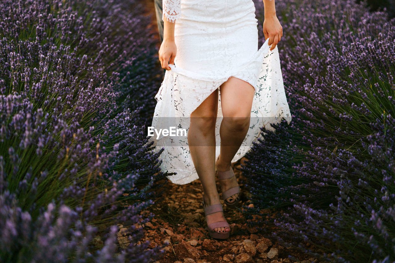 Crop anonymous woman in white wedding dress walking in blossoming lavender field on wedding day