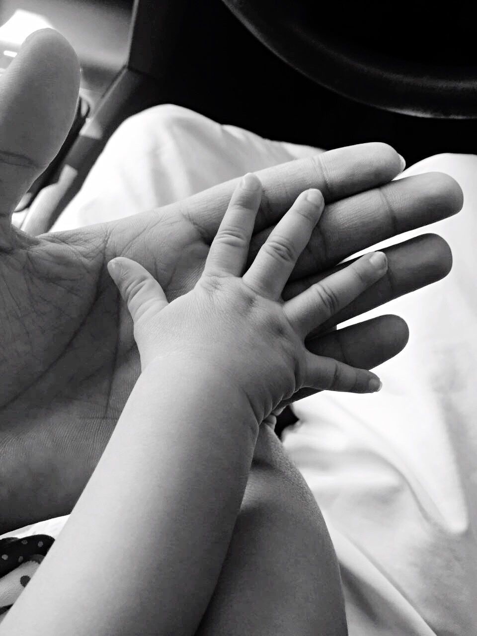 Baby touching hand of parent