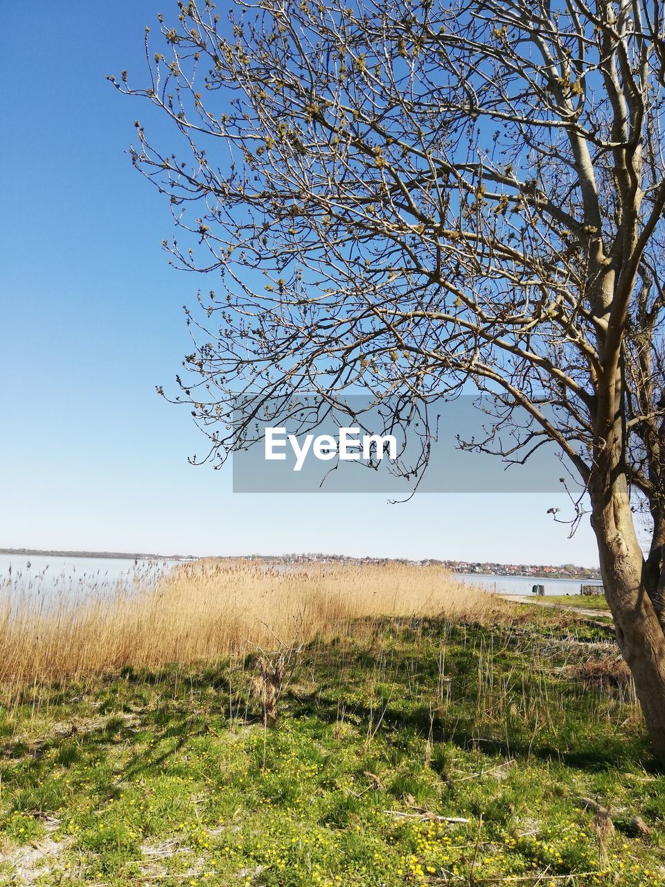 SCENIC VIEW OF FARM AGAINST CLEAR SKY