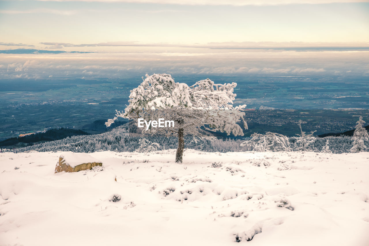 SCENIC VIEW OF SEA AGAINST SNOWCAPPED MOUNTAIN