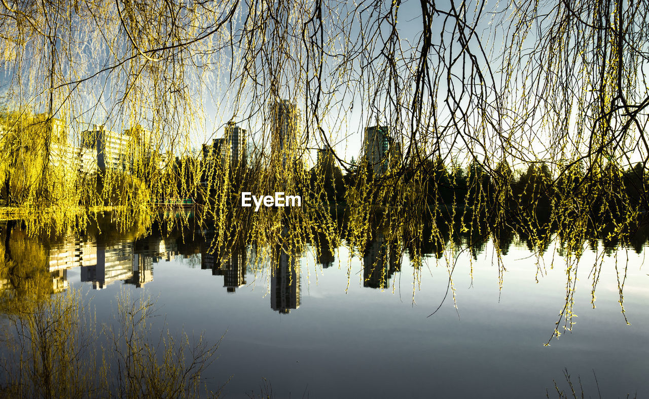 REFLECTION OF TREES IN LAKE AGAINST SKY