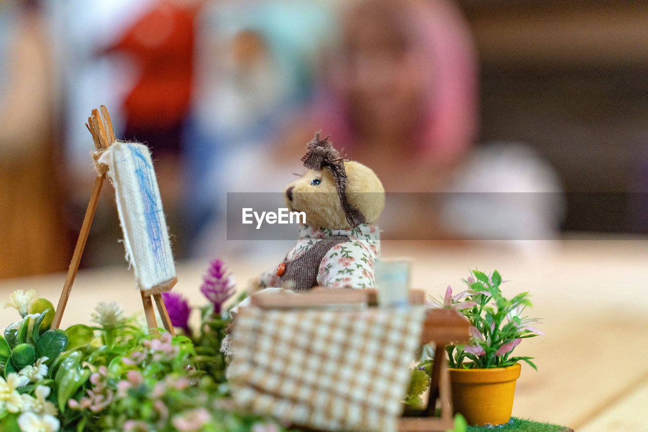 CLOSE-UP OF POTTED PLANTS