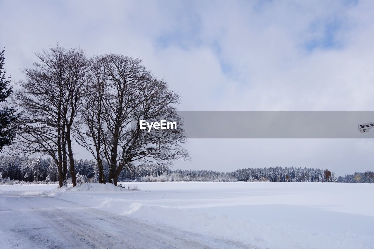 Trees on snow field against sky