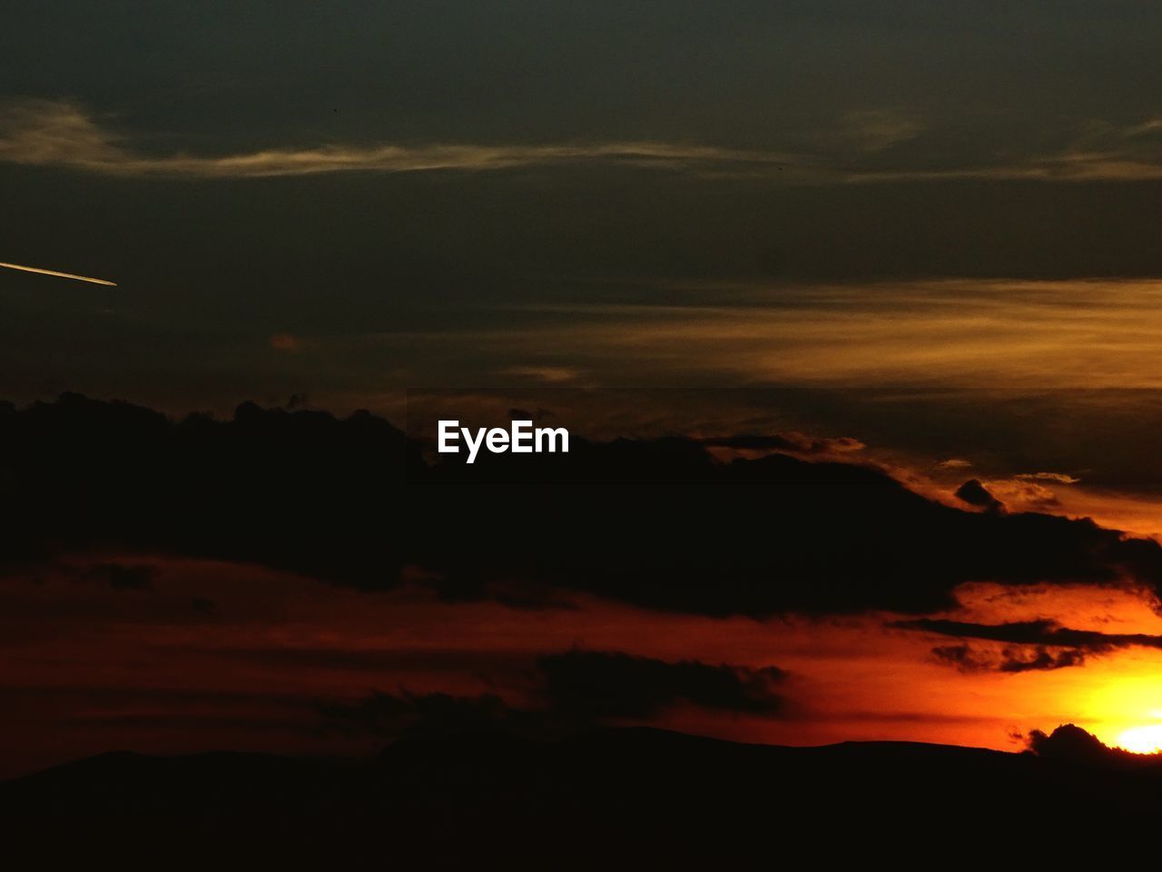 SILHOUETTE OF TREES AT SUNSET