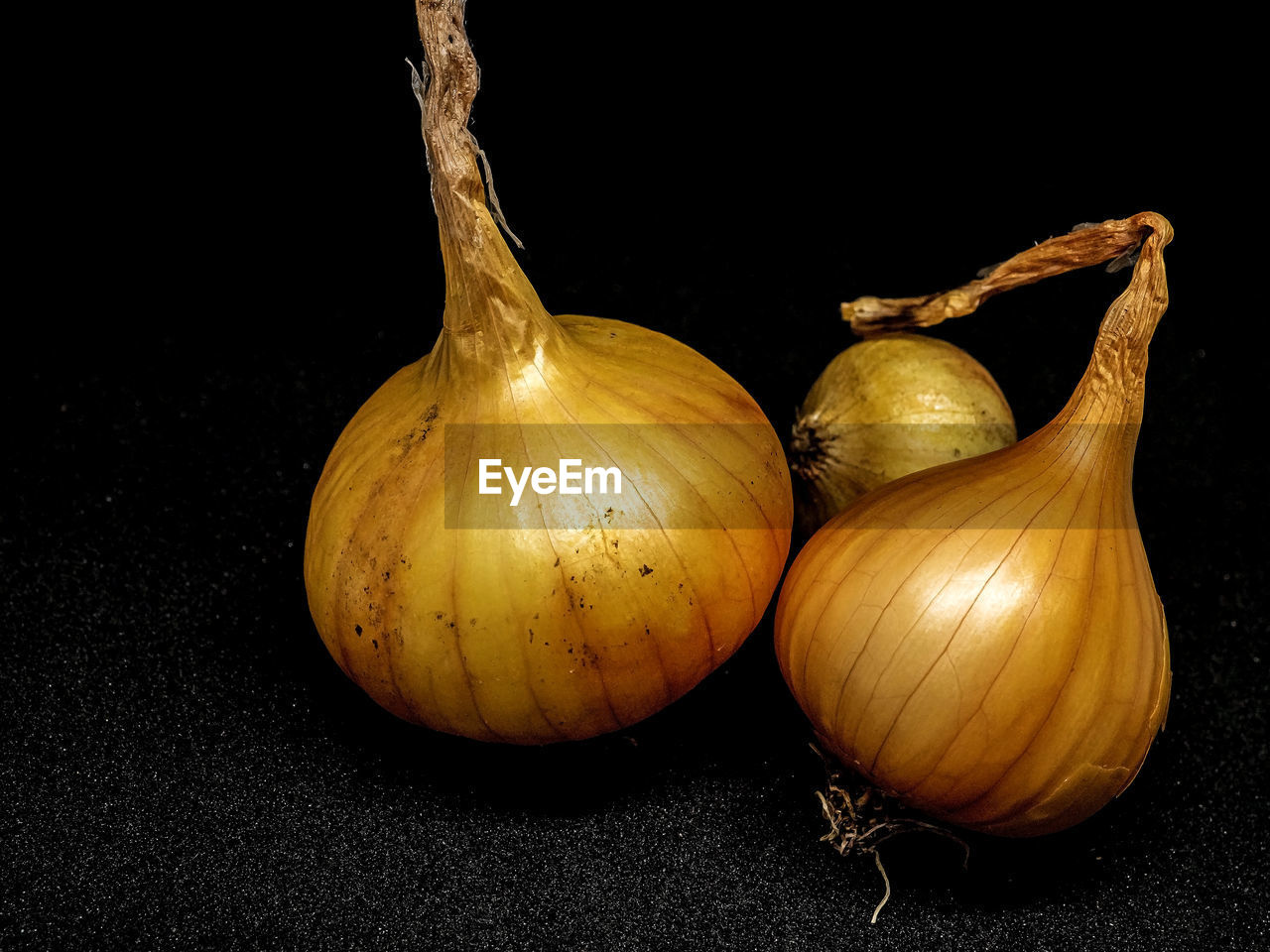 Close-up of an onion on a black background