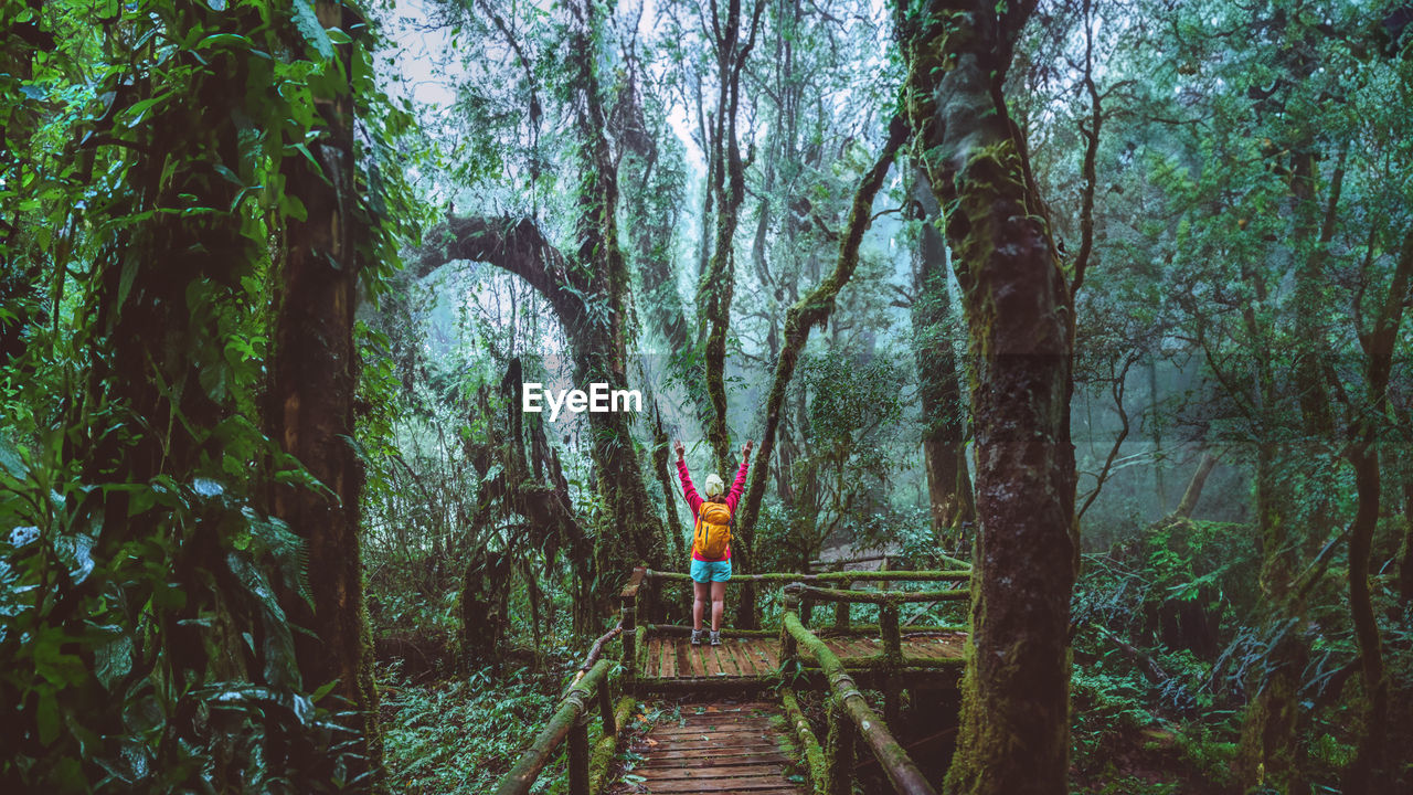 rear view of man walking on footpath in forest