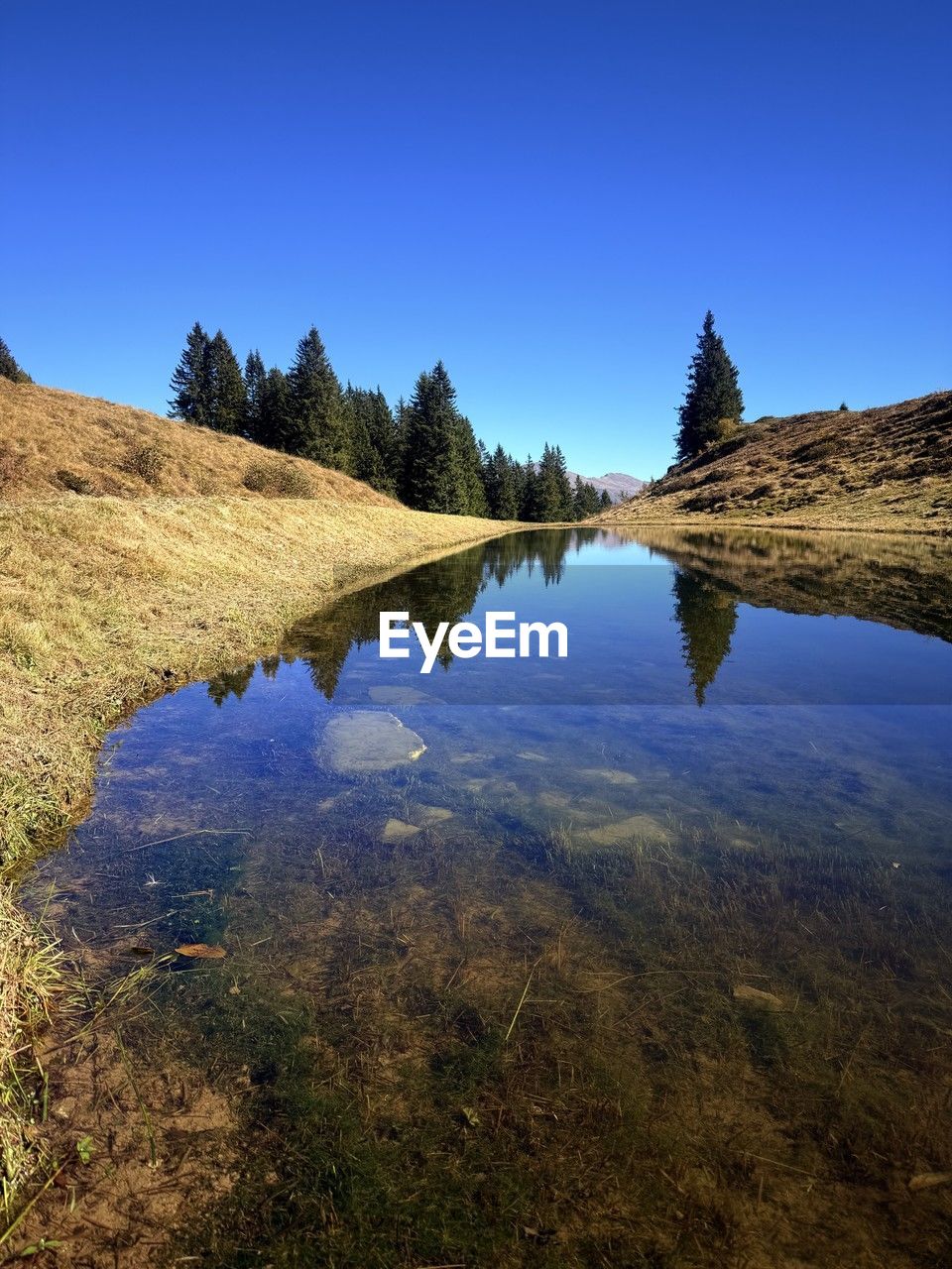 reflection, nature, tree, sky, plant, blue, no people, terrain, clear sky, outdoors, rock, scenics - nature, day, beauty in nature, land, sunlight, leaf, water, architecture, low angle view, tranquility, travel destinations, landscape