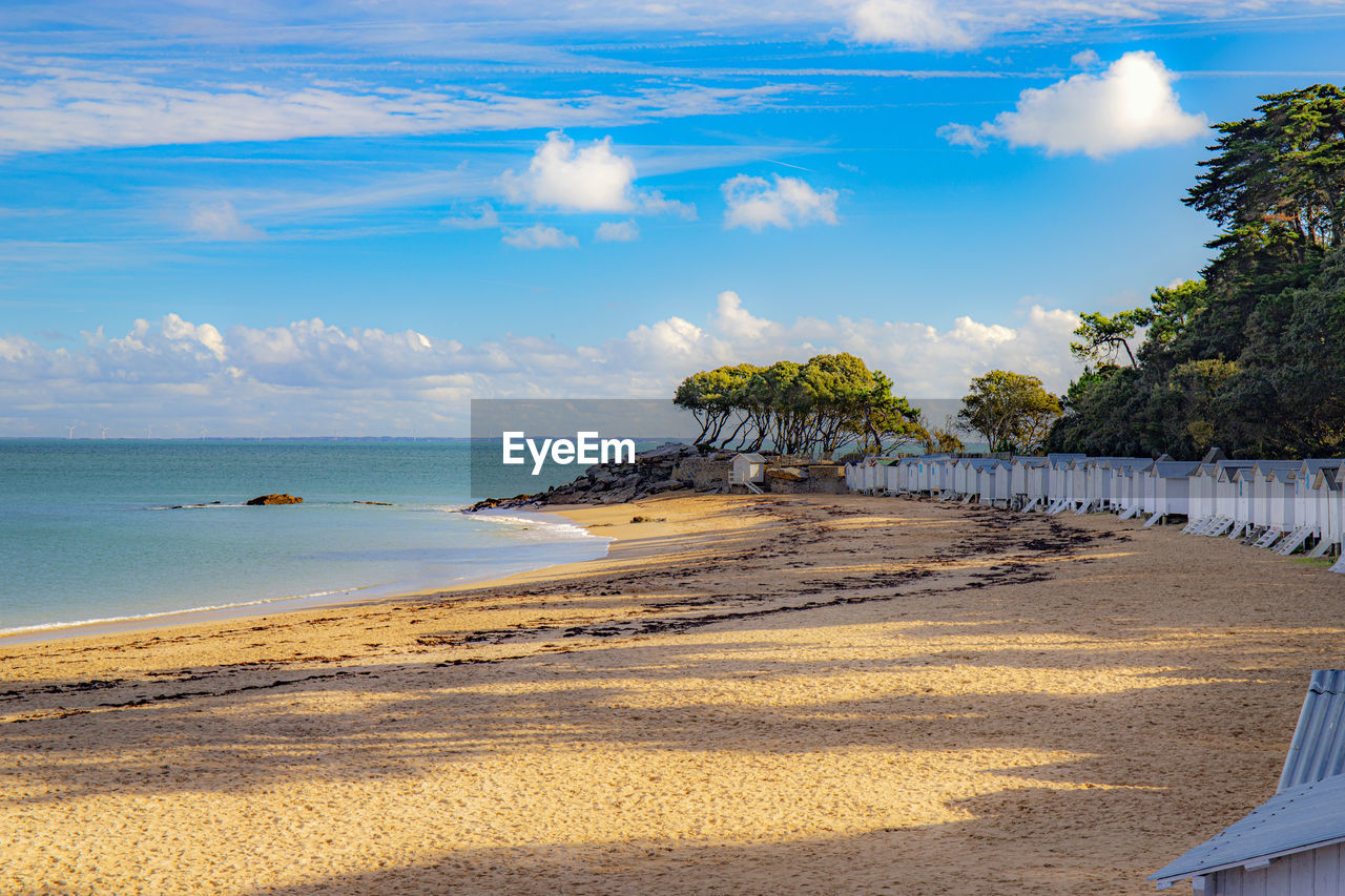 TREES ON BEACH AGAINST SKY