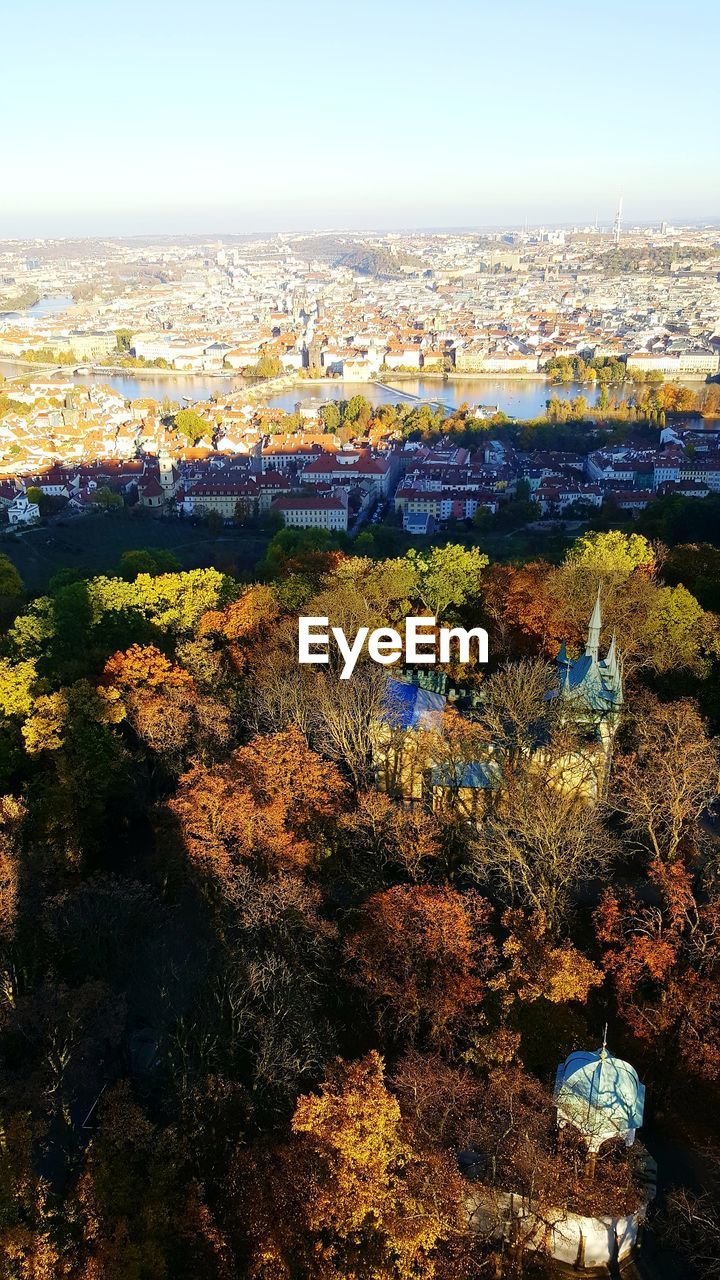 HIGH ANGLE VIEW OF TREES AGAINST CITYSCAPE