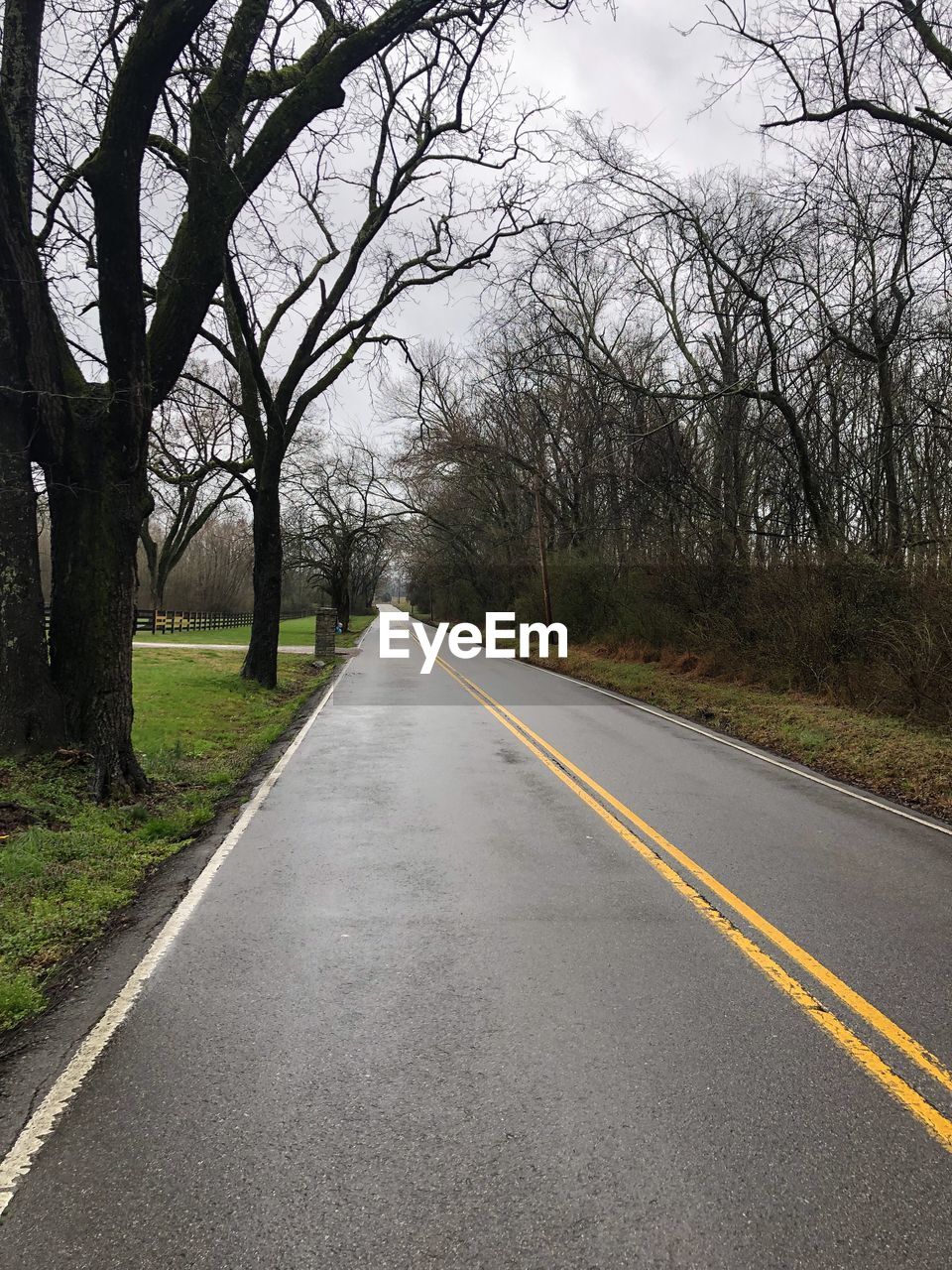 Empty road along bare trees