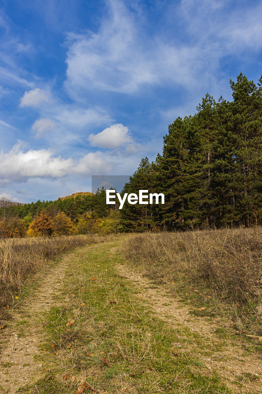 Plants growing on land against sky