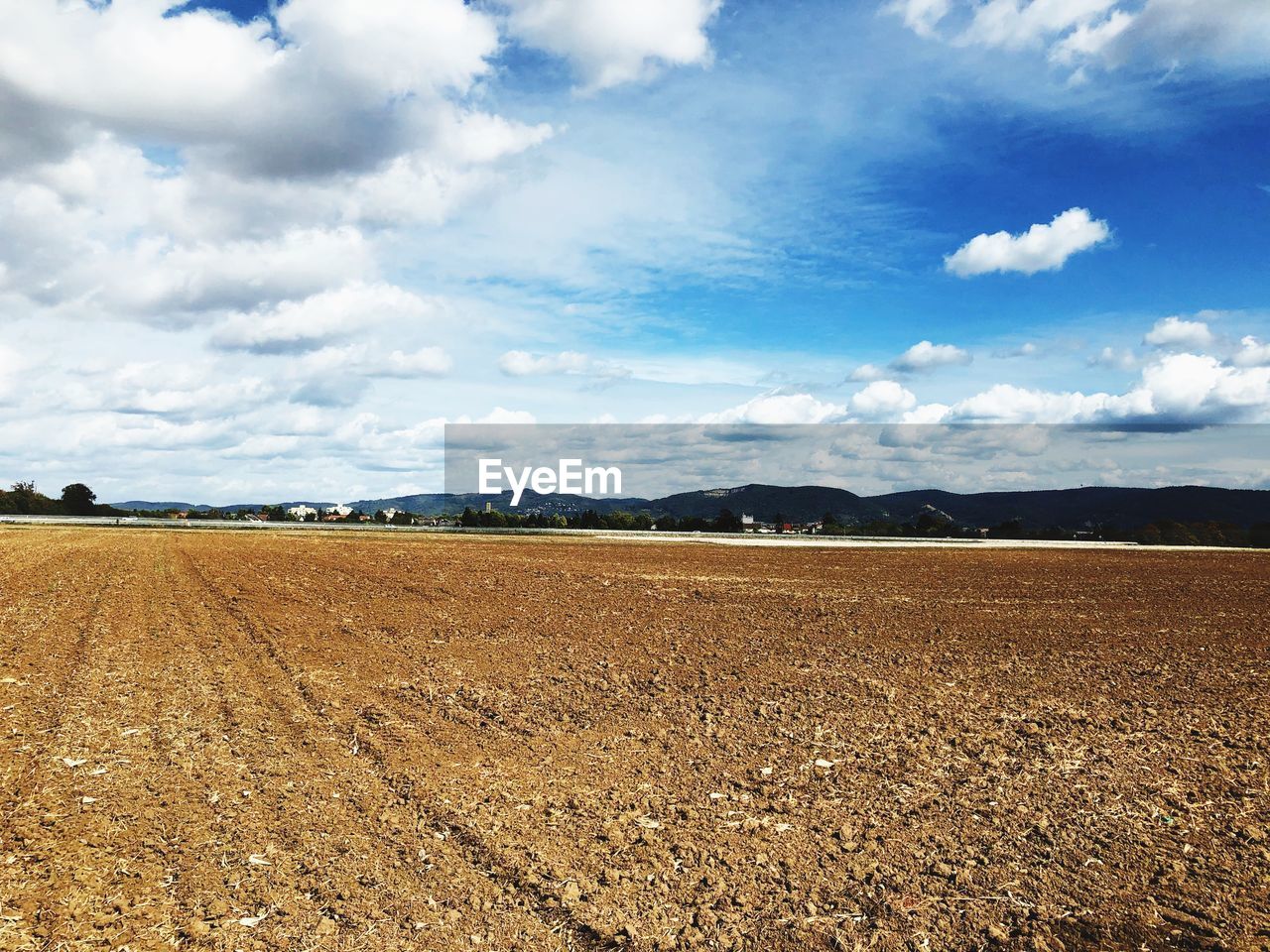 FIELD AGAINST SKY