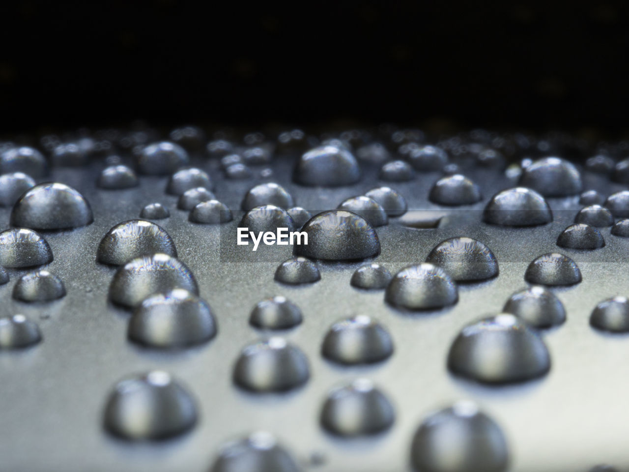 Close up of water droplets on black background