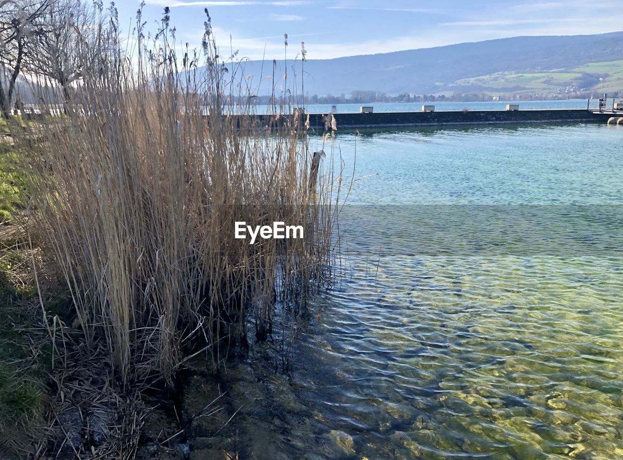 PANORAMIC VIEW OF LAKE AGAINST SKY