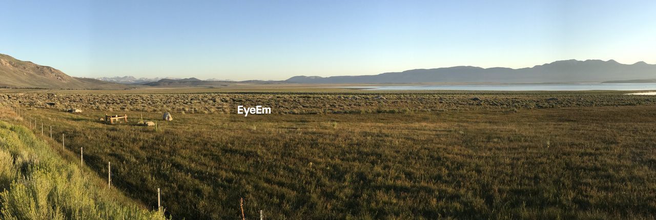 SCENIC VIEW OF FARM AGAINST SKY