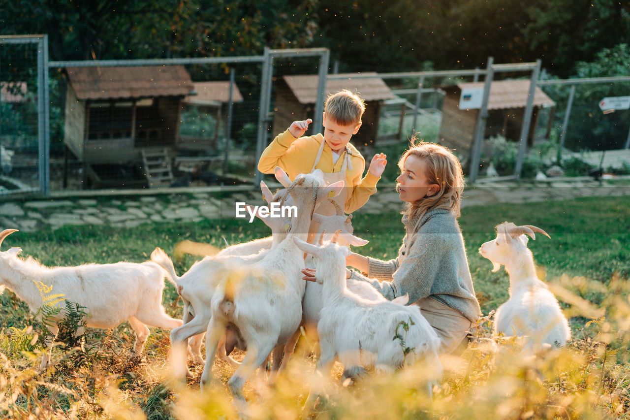 Happy cheerful mom and son feed and care for goats on the farm.