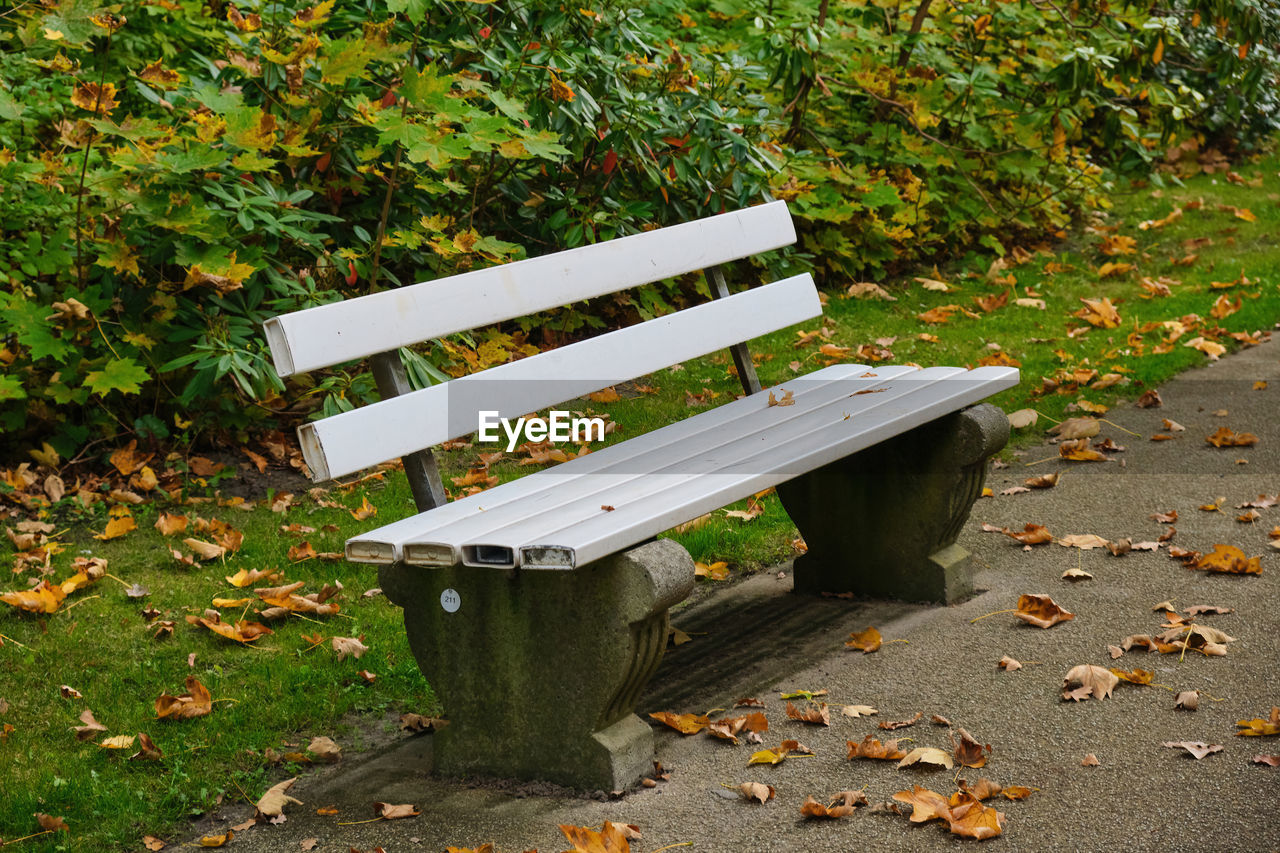 empty wooden bench in park