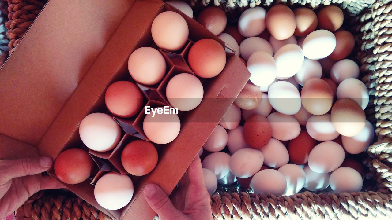 HIGH ANGLE VIEW OF HAND HOLDING EGGS