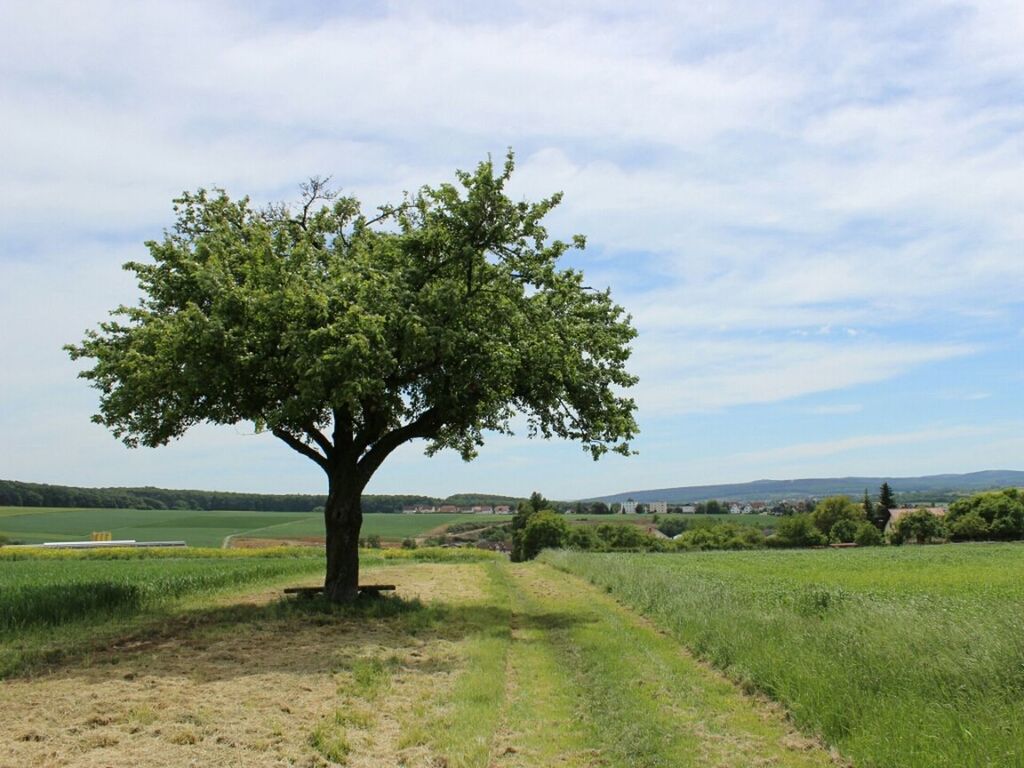 View of rural landscape