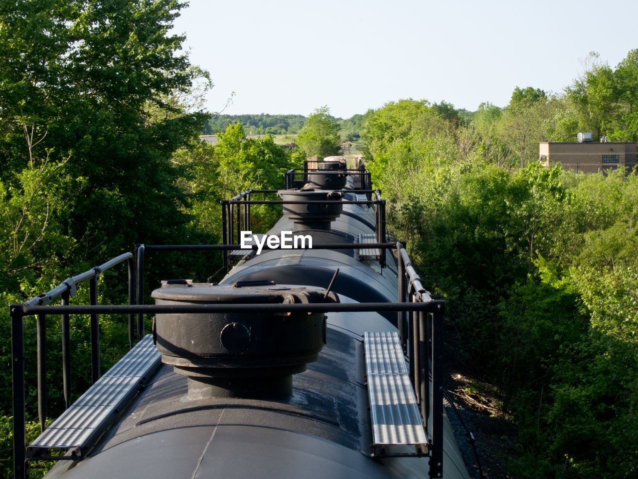 Train amidst trees against sky