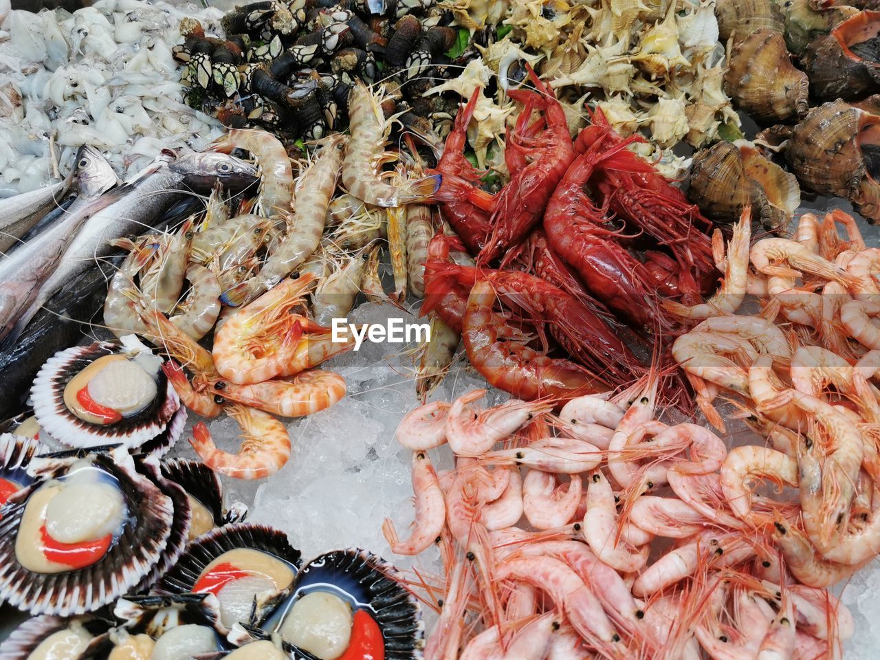 HIGH ANGLE VIEW OF FISH IN MARKET