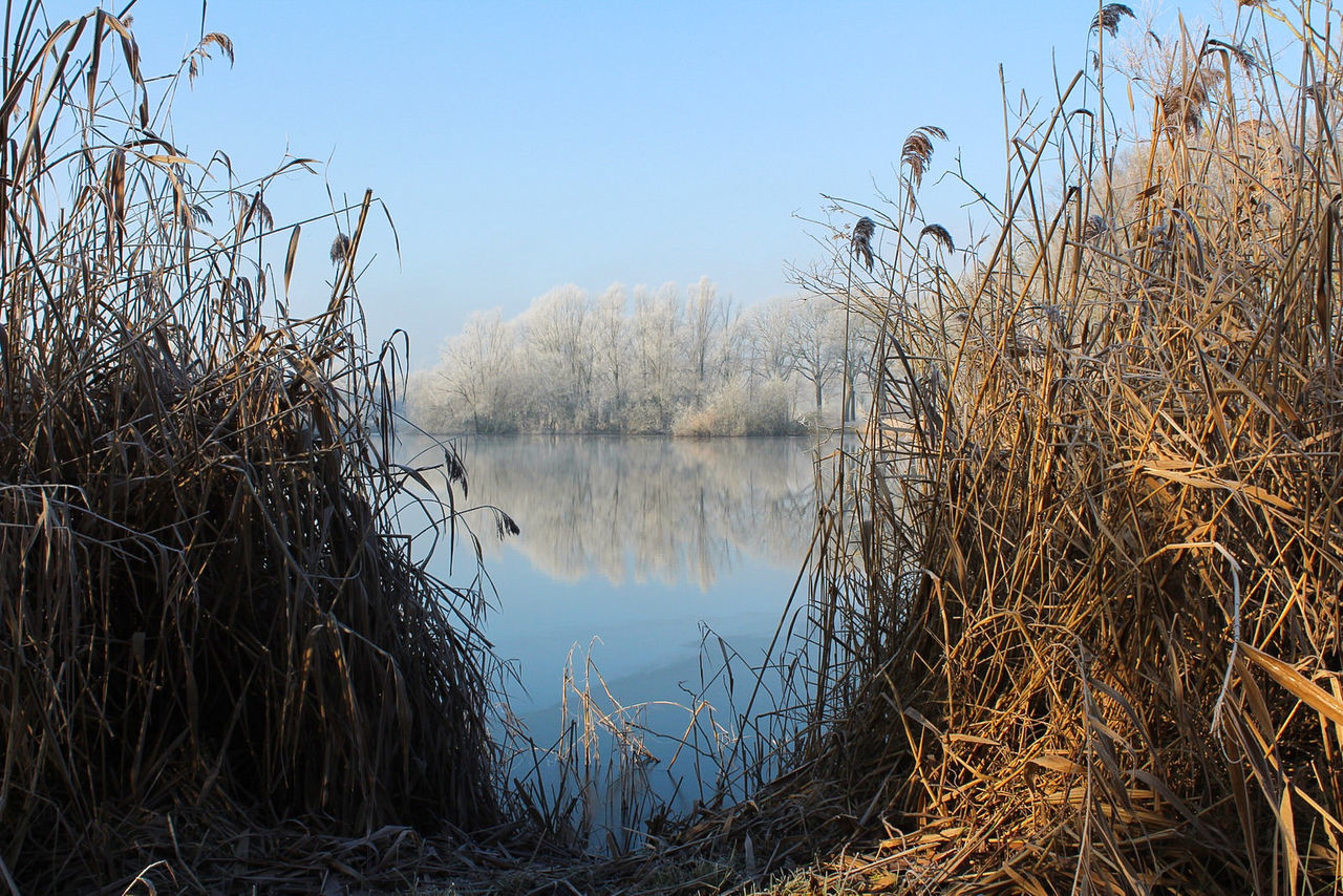 Reflection of trees in lake against sky