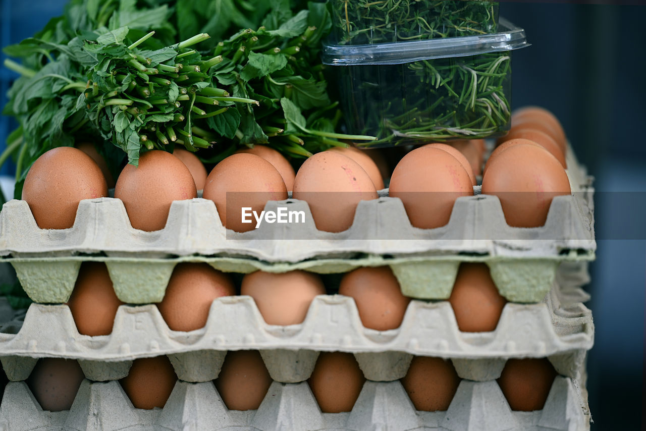 food, egg, food and drink, healthy eating, freshness, wellbeing, egg carton, raw food, no people, organic, in a row, vegetable, nature, large group of objects, fragility, container, retail, plant, abundance, animal egg, indoors, arrangement, brown, ingredient, market, close-up, green
