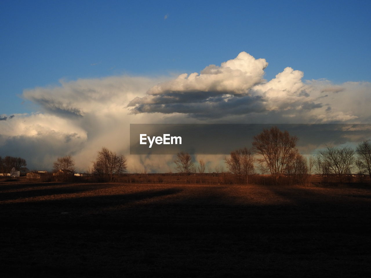 VIEW OF TREES AGAINST SKY