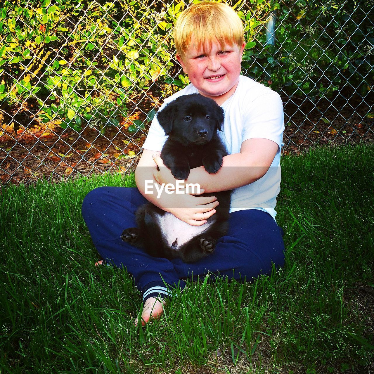 Portrait of boy holding puppy on grassy field