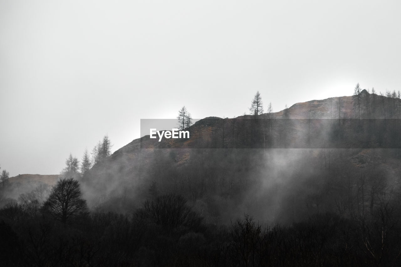 PANORAMIC SHOT OF TREES AND MOUNTAIN AGAINST SKY