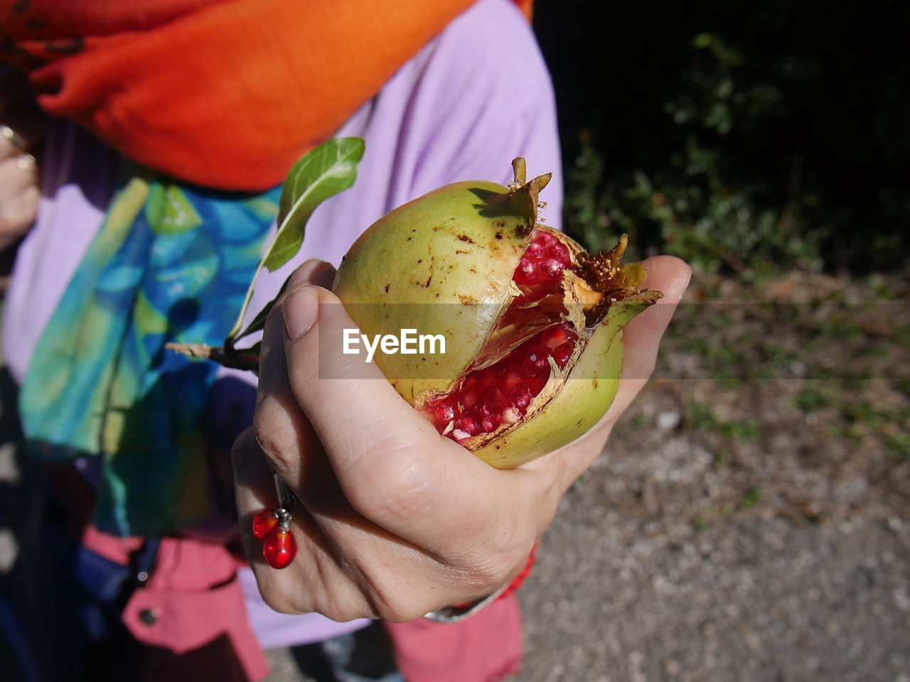 MIDSECTION OF MAN HOLDING FRUIT