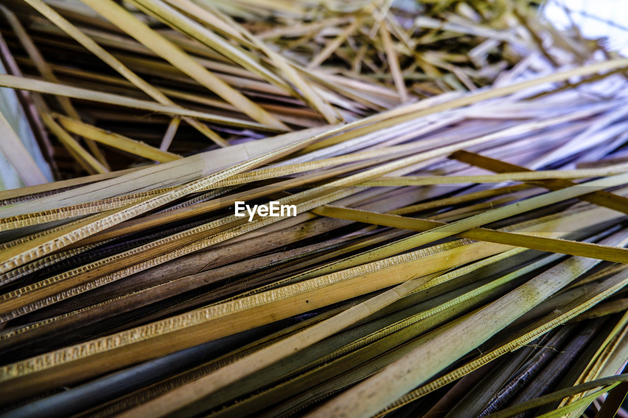 HIGH ANGLE VIEW OF DRY LEAVES