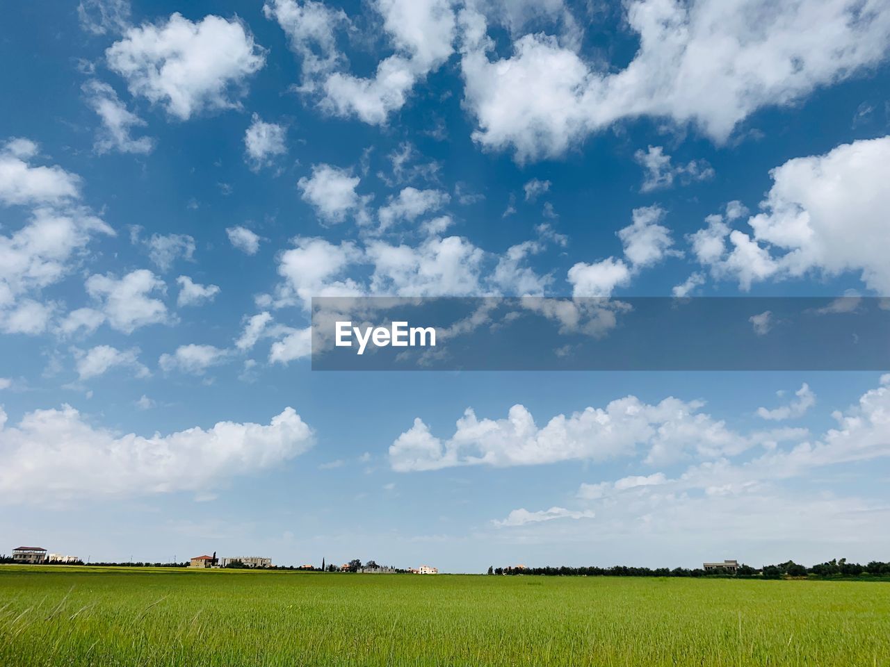 SCENIC VIEW OF FARM FIELD AGAINST SKY