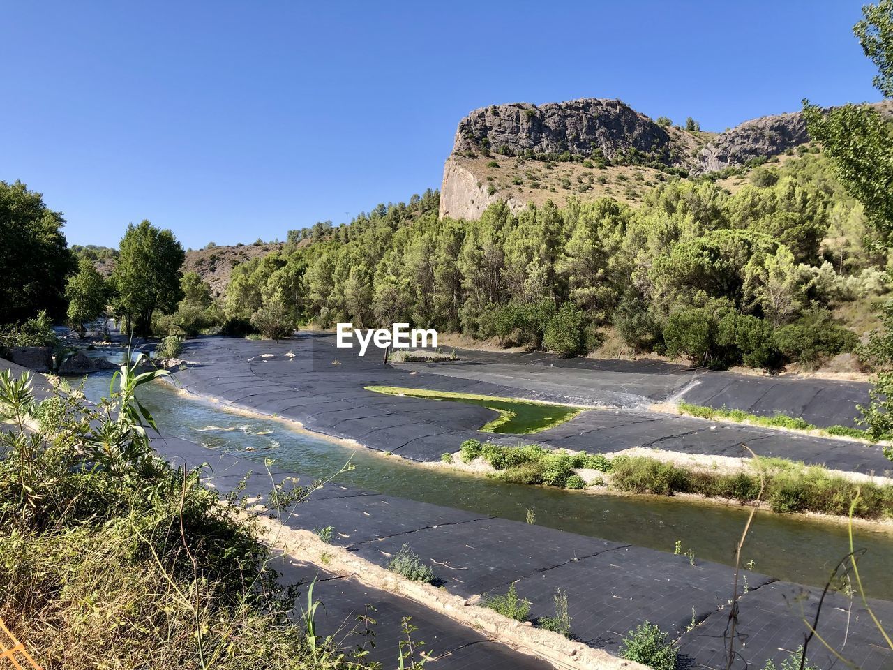 plant, tree, nature, sky, water, river, scenics - nature, clear sky, beauty in nature, land, no people, environment, landscape, mountain, blue, tranquility, travel destinations, sunny, travel, pinaceae, day, wilderness, tranquil scene, outdoors, coniferous tree, non-urban scene, pine tree, forest, sunlight, pine woodland, reservoir, tourism, growth, rock