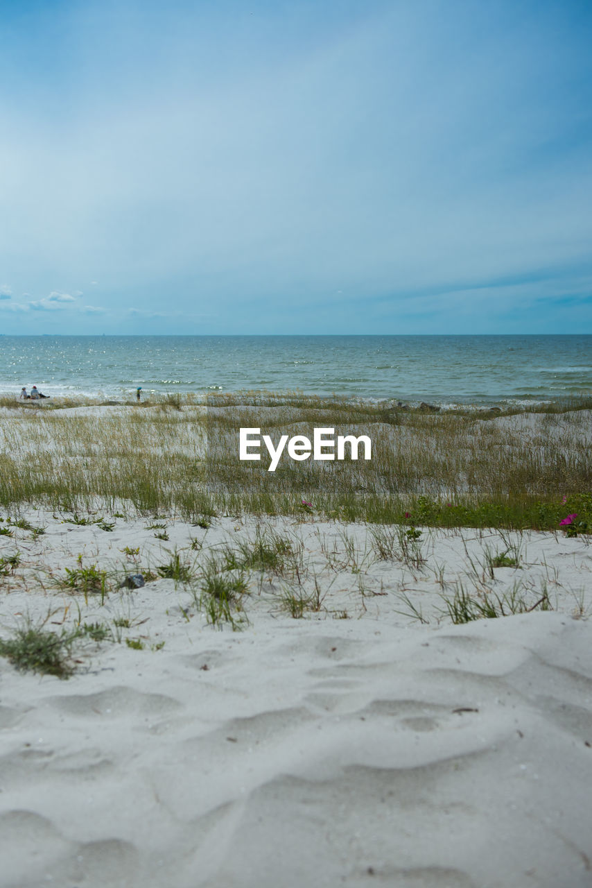 SCENIC VIEW OF BEACH