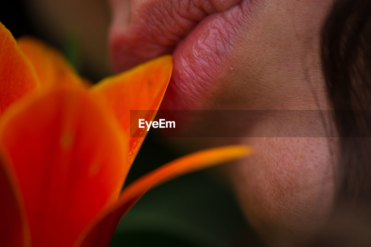 Cropped image of woman kissing orange flower