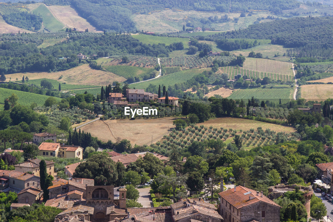 High angle view of agricultural landscape