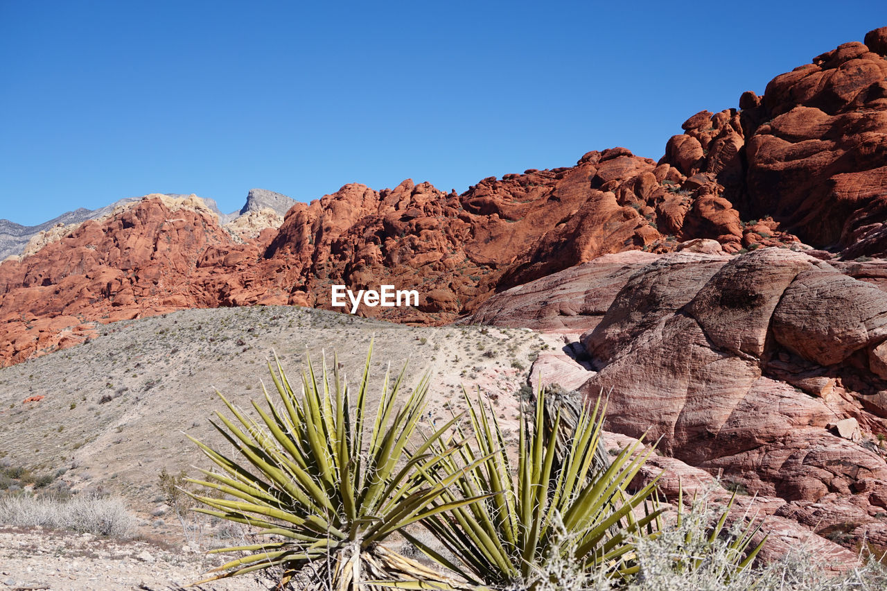 LOW ANGLE VIEW OF BLUE MOUNTAIN AGAINST CLEAR SKY