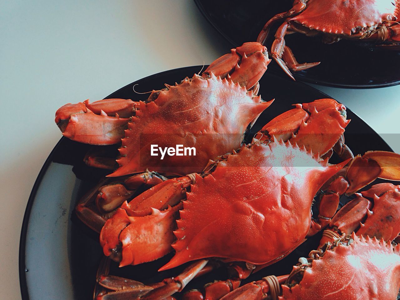 High angle view of cooked crabs in plate on table