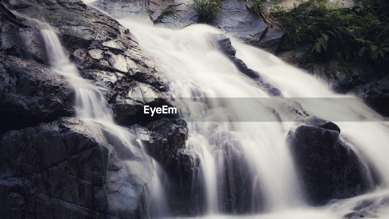 WATERFALL IN FOREST