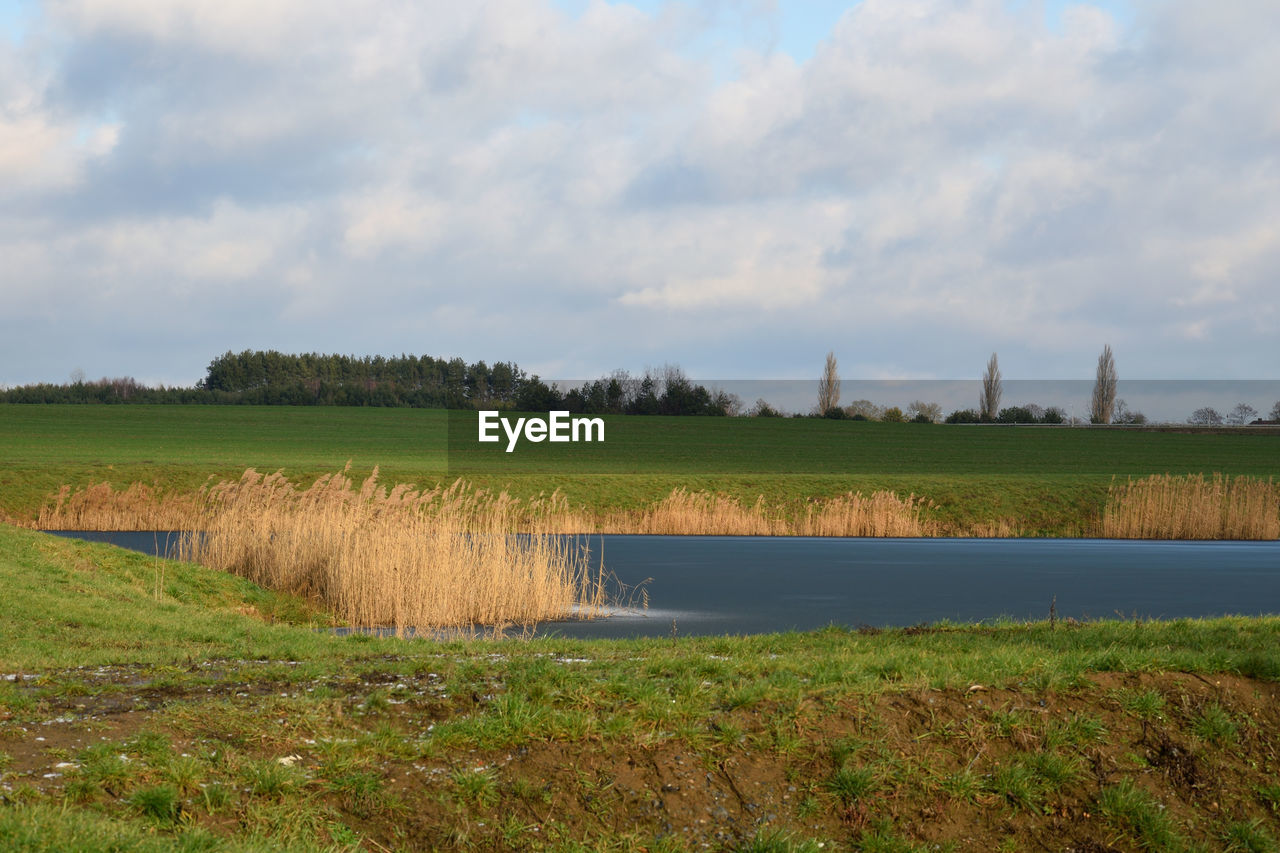 SCENIC VIEW OF GRASSY FIELD AGAINST SKY