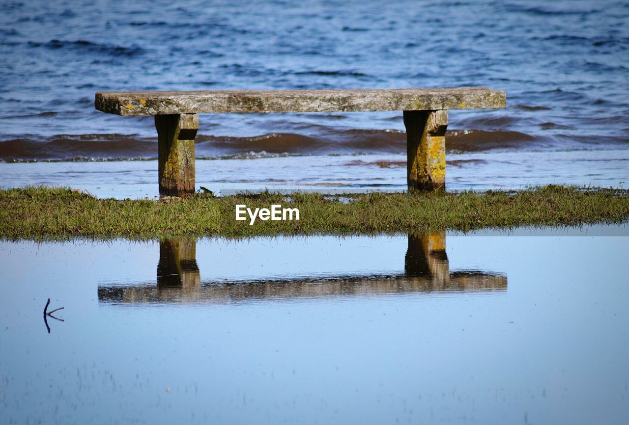 Bench amidst lake at forest