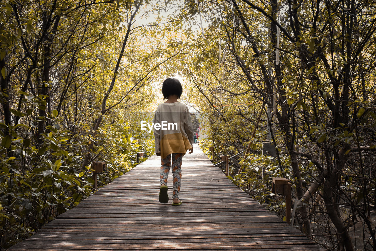 Rear view of girl walking on footpath in forest