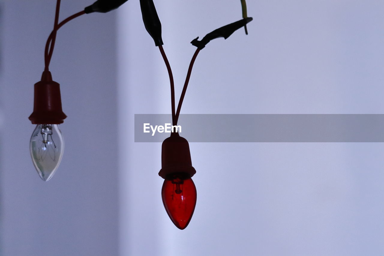 LOW ANGLE VIEW OF LIGHTING EQUIPMENT HANGING ON TWIG AGAINST SKY