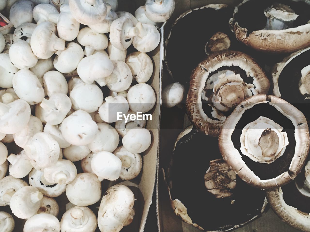 Mushrooms on market stand