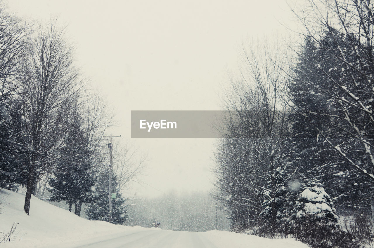 SNOW COVERED TREES AGAINST CLEAR SKY