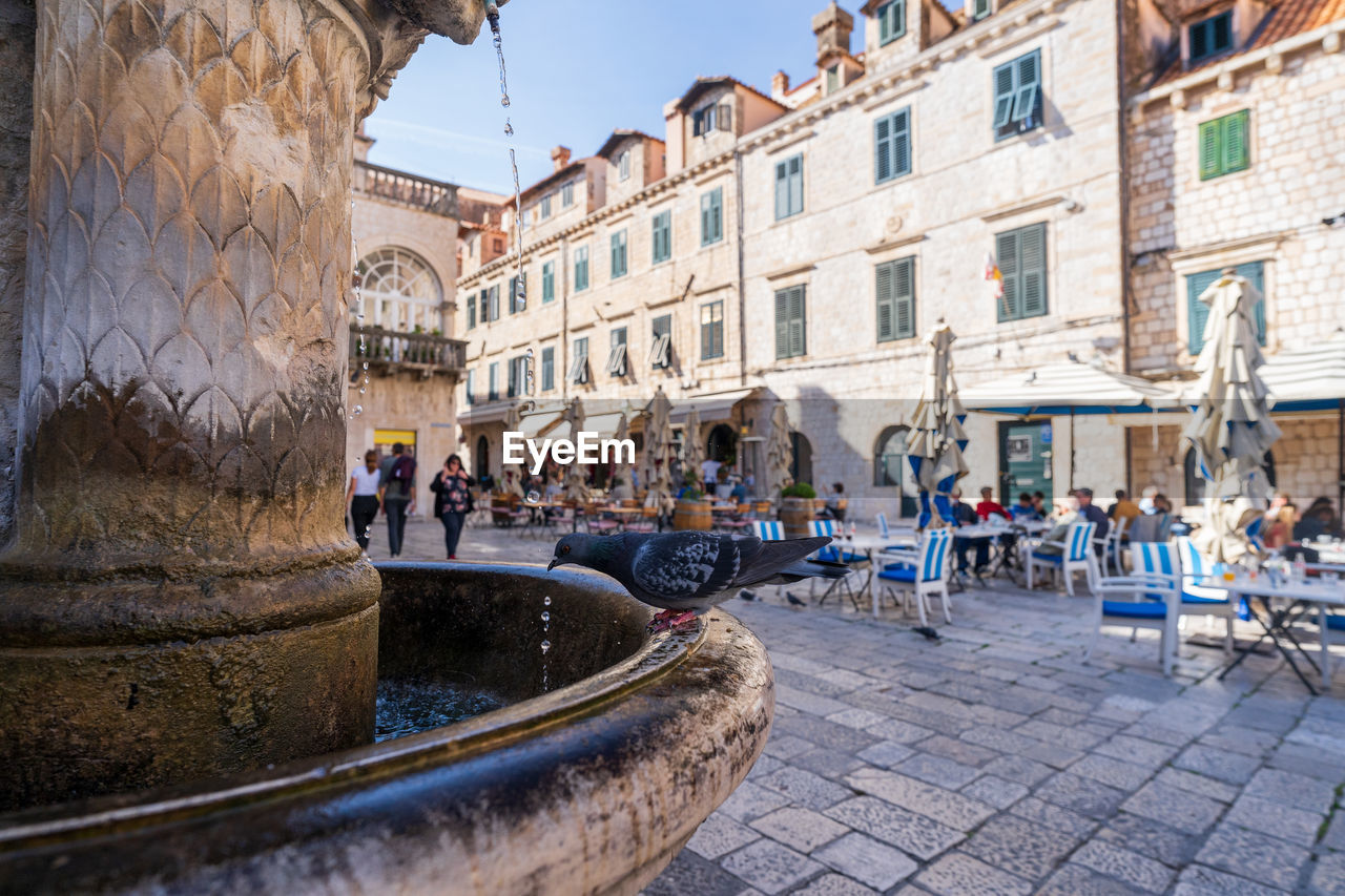 view of fountain