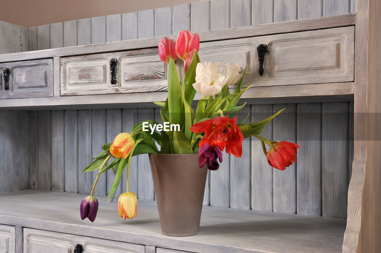 Tulips in vase on table at home