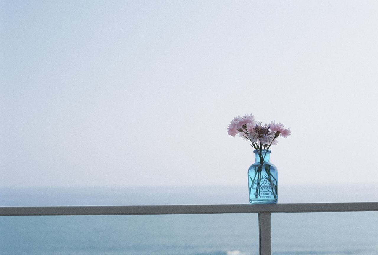 blue, nature, flower, flowering plant, beauty in nature, water, sky, plant, copy space, no people, day, freshness, sea, tranquility, outdoors, vase, fragility, clear sky, tranquil scene, horizon over water, railing