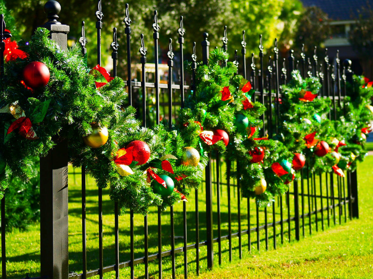 RED FLOWERS ON RAILING BY GATE